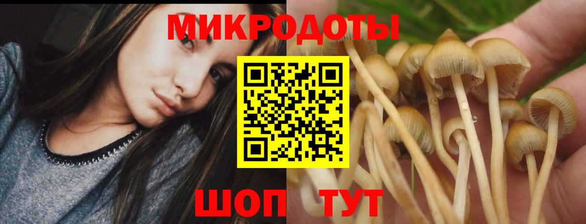 Псилоцибиновые грибы GOLDEN TEACHER  Галлюциногенные грибы MAGIC MUSHROOMS  Пугачёв  Вход с VPN 